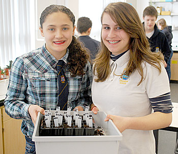 KGS pupils Jasmine Hall and Rachael Evans with their seeds.