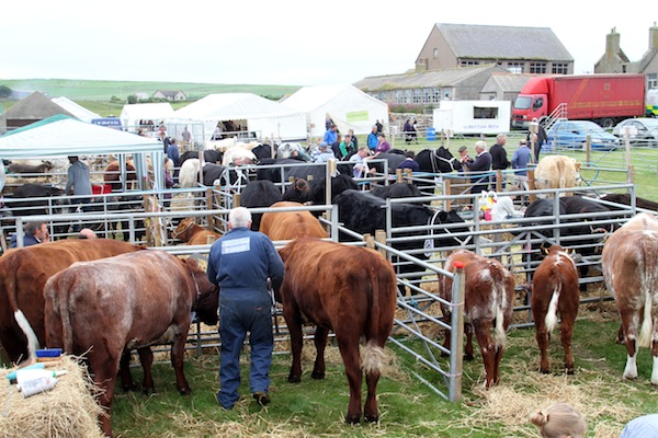 The East Mainland show is underway