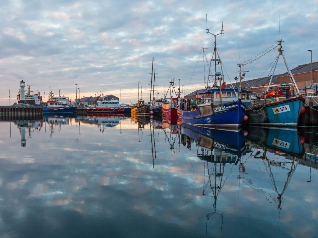 Kirkwall based fishing vessels. (Picture: Magnus Budge