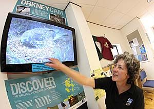 The early bird. . . gets the rabbit