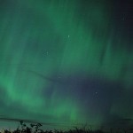 Northern Lights, Rousay, August 2011.