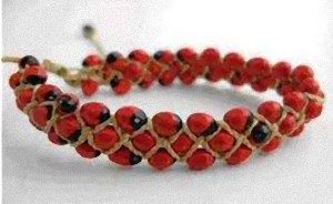 Trading Standards warning over bean bracelets