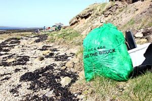 Bag the Bruck back in action