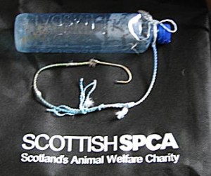 SSPCA appeal after gannet swallows baited hook