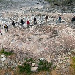 Picture: Frank Bradford