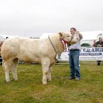 The Showyard and supreme cattle champion — Baillieston Georgie.