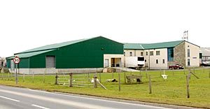 Abattoir survey for local farmers