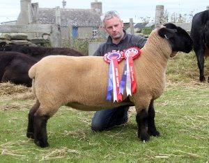 Agricultural shows season kicks off in Sanday