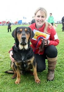 Killiebrae Finn is Dounby Show champ