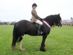 Cruan horse takes Dounby Show honours