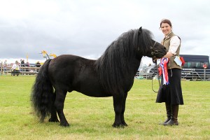 Hools take horse title at the County Show