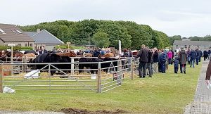County Show brings 2015 season to a close