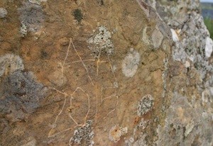 Rune Stone at Brodgar vandalised