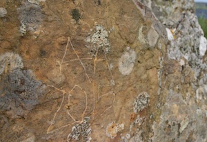 Rune Stone at Brodgar vandalised