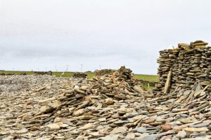 Action plan to protect North Ronaldsay sheep dyke