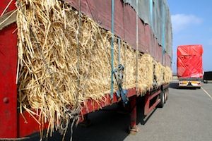 Emergency shipment of straw to Westray