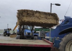 Second shipment of straw arrives in Westray