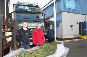 Council takes delivery of Norwegian Christmas Trees