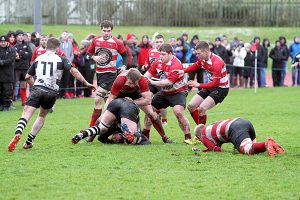 Orkney RFC to host Berwick