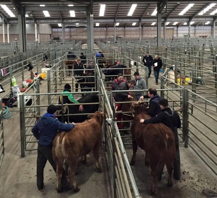 Orkney young farmers compete at national level