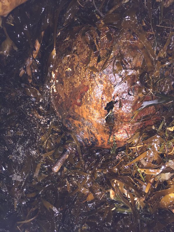 Sea mine found near fourth barrier