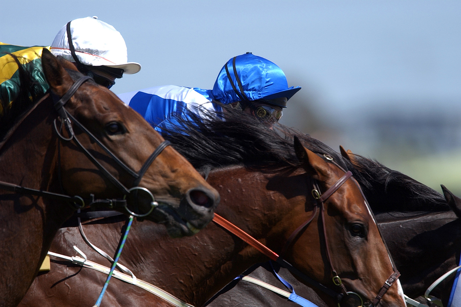 What To Expect At Cheltenham 2016