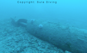 Scapa Flow torpedo to be destroyed today