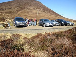 Sea eagles back in Hoy for second nesting attempt
