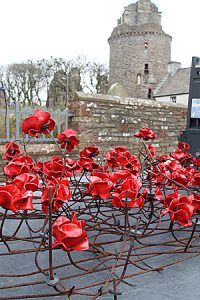 Work under way on cathedral poppy installation