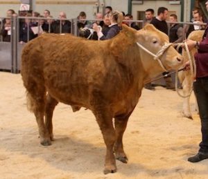 Overhouse takes top spot at over-wintering competition