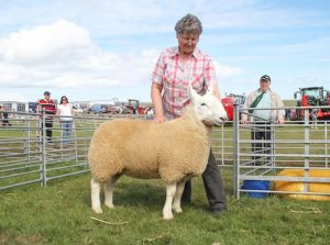 Cheviot gimmer is champion of the East