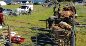 ‘Hope Show gets under way