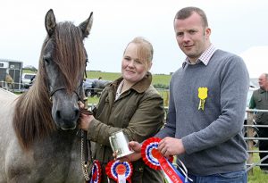 Highland Pony is 2016 ‘Hope Show champion