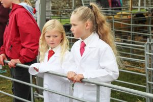 Whit’s on this County Show weekend?