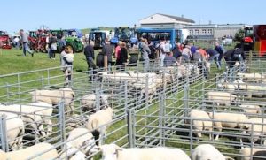 It’s Shapinsay Show Day!