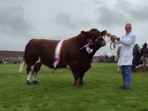 Nearhouse awarded Supreme Champion title