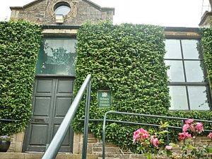 Event to help local firms do business better with the OIC