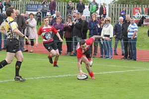 Penguins no match for scintillating Orkney