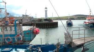 Marine plan shortlisted for national award