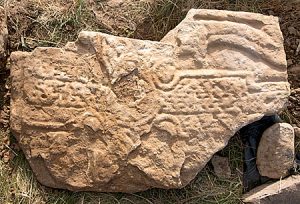 Pictish symbol stone recovered from East Mainland