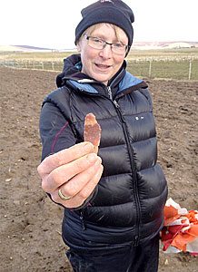Fruits of fieldwalking on show at museum