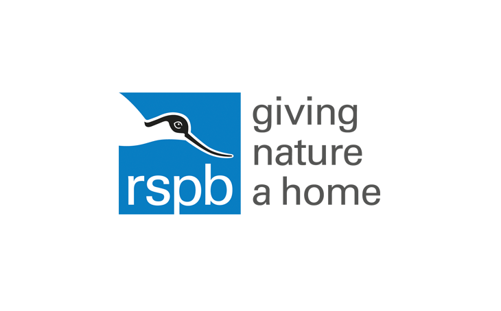 RSPB peatland restoration project progresses