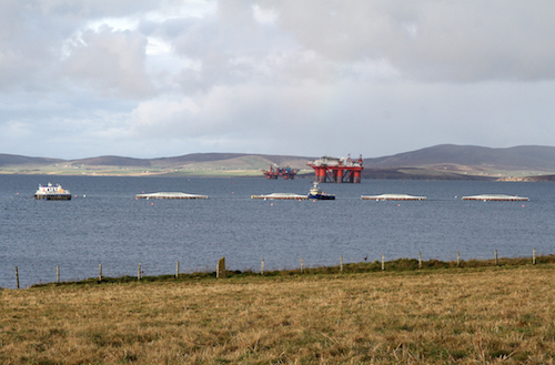 Views sought on Orkney aquaculture