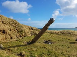 Burray’s viking standing tall again