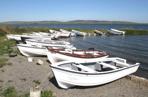 MSP welcomes government’s change of heart on rod licensing