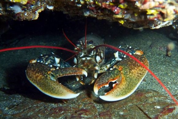 New measures on unlicensed fishing