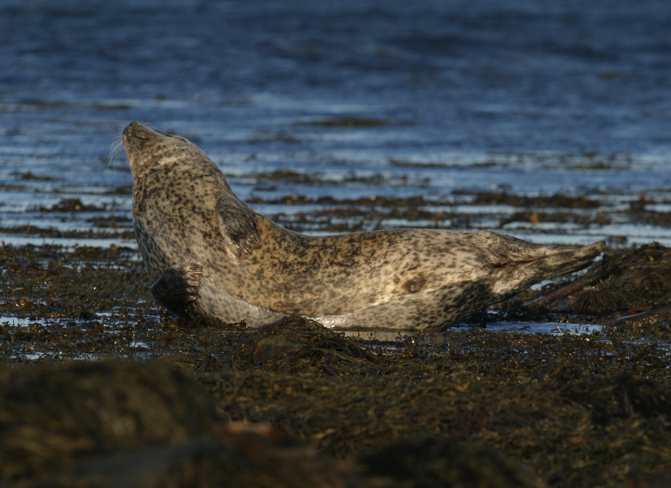Nature festival kicks off tomorrow