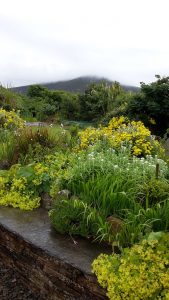 Orkney Garden festival launches debut event