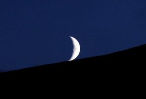 Look to the Sky this summer