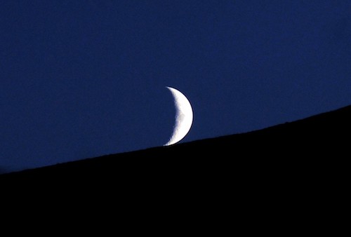 Look to the Sky this summer